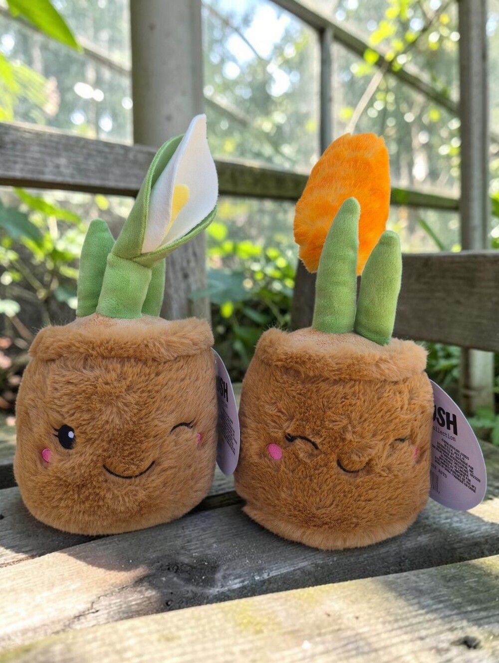 Toy Box Plush Potted Plant Pair